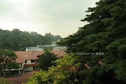 Botanic Gardens View (D10), Apartment #154265552